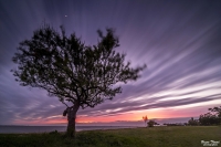 Nom du fichier=_IMG4421.jpg
Taille du fichier=351Ko
Dimensions : 1024x683
Ajouté le : 22 Octobre 2019 _IMG4421.jpg