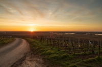 Nom du fichier=_img2110.jpg
Taille du fichier=266Ko
Dimensions : 1024x683
Ajouté le : 23 Février 2021 _img2110.jpg