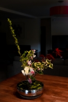 Nom du fichier=imgp6611.jpg
Taille du fichier=283Ko
Dimensions : 568x854
Ajouté le : 07 Mai 2024 imgp6611.jpg