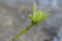 Nom du fichier=mx1_0010.jpg
Taille du fichier=182Ko
Dimensions : 1280x854
Ajouté le : 19 Mars 2024 mx1_0010.jpg