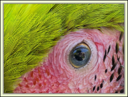 2014-06-12/ kbg 
kbg [ Zoo & parcs animaliers ]
