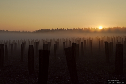 2013-10-29 / Yves_Marechal
Yves_Marechal [ Coucher / Lever de soleil ]
