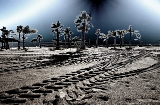 2013-10-14 / olilignan
olilignan [ Noir et Blanc, Sepia et desaturation partielle ]
