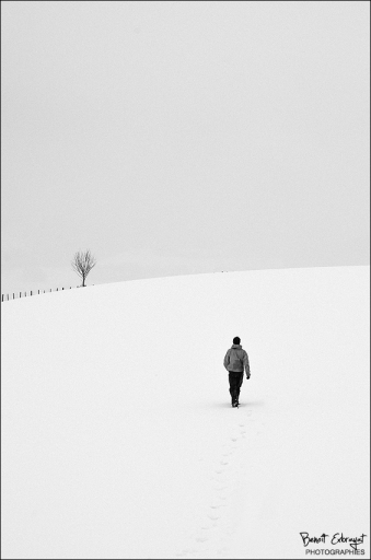 2012-12-11 / génépi
Par genepi dans Noir et Blanc 
