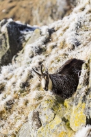 Nom du fichier=16112802433721144414666814.jpg
Taille du fichier=312Ko
Dimensions : 681x1024
Ajouté le : 28 Novembre 2016 16112802433721144414666814.jpg