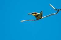 Nom du fichier=pdj_7-7.jpg
Taille du fichier=204Ko
Dimensions : 1024x678
Ajouté le : 06 Juillet 2018 pdj_7-7.jpg