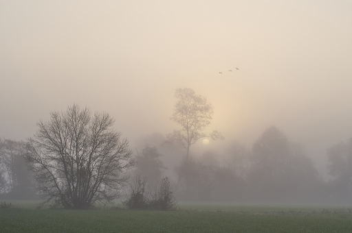 2017-12-02 / vinhug
vinhug [Paysages et elements naturels]
