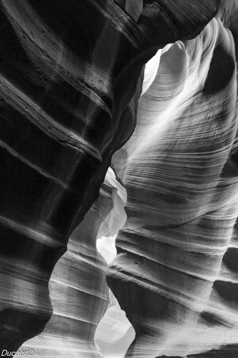 2017-12-15 / ducatst2
ducatst2 [Paysages et elements naturels]
