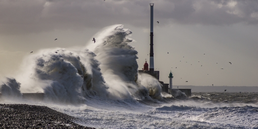 2018-01-19 / step55
step55 [Paysages et elements naturels]
