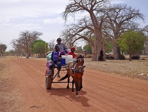 2018-03-17 / pilote14
pilote14 [vehicules & moyens de transport]
