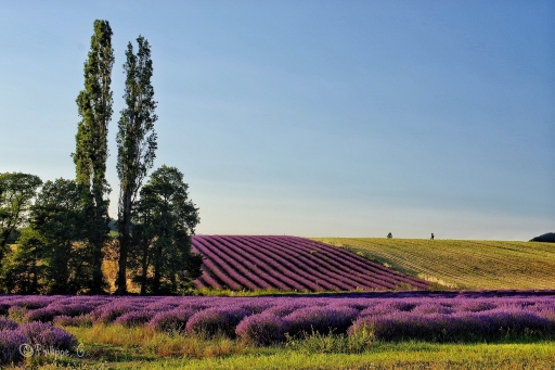 2018-06-29 / Ph07
Ph07 [Paysages et elements naturels]
