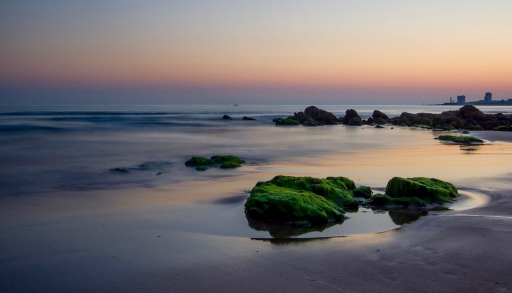 2018-11-09 / Mickmac
Mickmac [Paysages et elements naturels]
