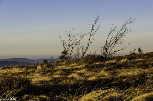 2018-11-16 / ducatst2
ducatst2 [Paysages et elements naturels]
