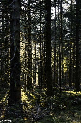 2018-11-23 / ducatst2
ducatst2 [Paysages et elements naturels]
