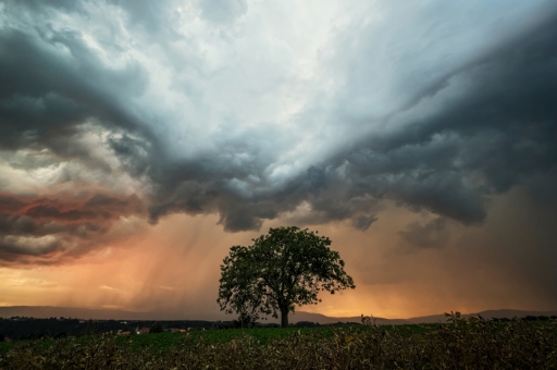 2019-09-07 / LoupiDoop
LoupiDoop [Paysages et elements naturels]
