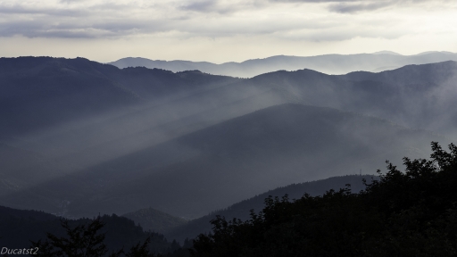 2019-09-19 / ducatst2
ducatst2 [Paysages et elements naturels]
