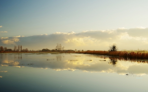 2021-01-12 / yuma
yuma [Paysages et éléments naturels]
