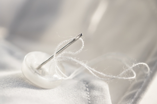 2021-02-02 / Opus21
Opus21 : [Macro et proxiphotographie nature] 
