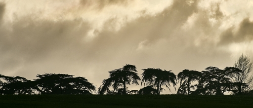 2021-03-12 / vinhug
vinhug [Paysages et éléments naturels]
