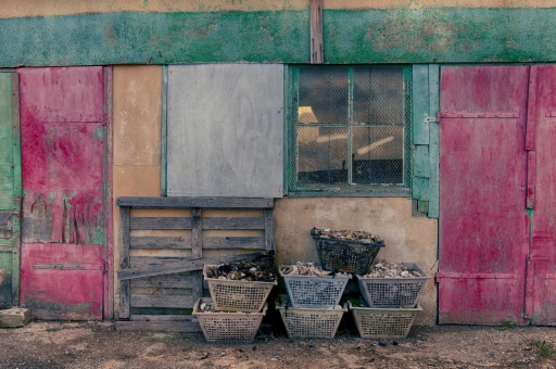 2021-12-11 / charlysouho
charlysouho [Environnement urbain et constructions humaines]
