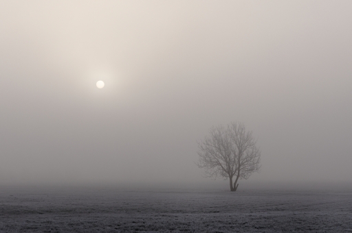 2022-02-05 / charlysouho
charlysouho [Paysages et éléments naturels]
