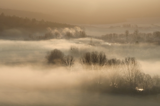 2022-03-12 / charlysouho
charlysouho [Paysages et éléments naturels]
