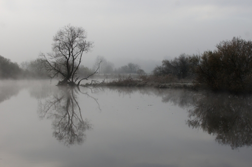 2022-04-08 / charlysouho
charlysouho [Paysages et éléments naturels]
