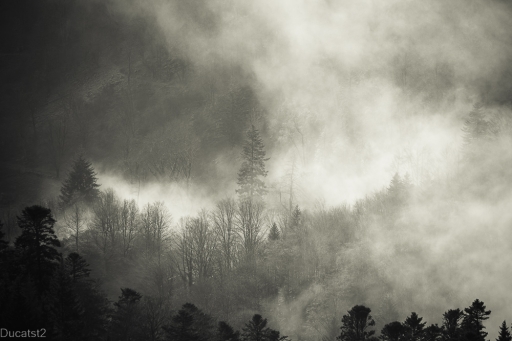 2023-01-07 / ducatst2
ducatst2 [Paysages et éléments naturels]
