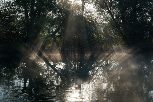 2023-09-30 / charlysouho
charlysouho [Paysages et éléments naturels]
