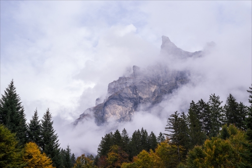 2023-11-11 / pierrot73210
pierrot73210 [Paysages et éléments naturels]
