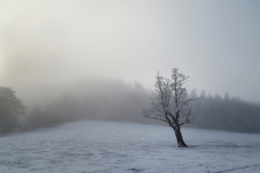 2024-02-03 / charlysouho
charlysouho [Paysages et éléments naturels]
