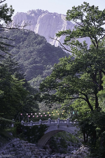 2024-03-16 /  ducatst2
ducatst2 "Découverte du Parc de Seoraksan"
