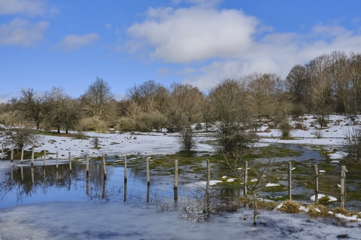 2024-03-23 / vinhug
vinhug [Paysages et éléments naturels]
