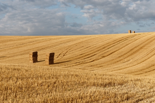 2018-07-21 / charlysouho
charlysouho [Paysages et elements naturels]
