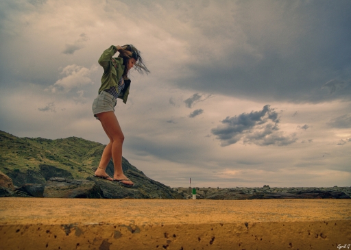 2019-02-21 / CarpoDingo
CarpoDingo [Environnement urbain et constructions humaines]
