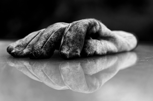 2019-01-12 / charlysouho
charlysouho [Natures mortes, photos d'objets]
