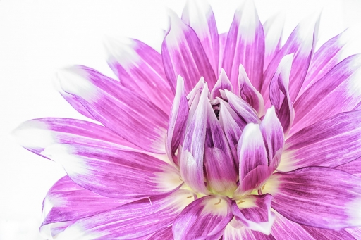 2019-11-15 / TOFTOF
TOFTOF [Natures mortes, photos d'objets]
