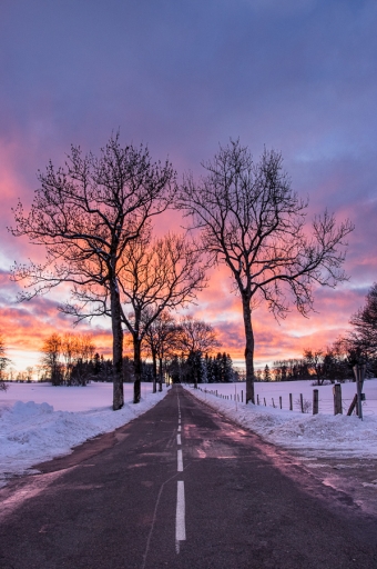 2021-02-12 / ASM
ASM : [Paysages et éléments naturels]
