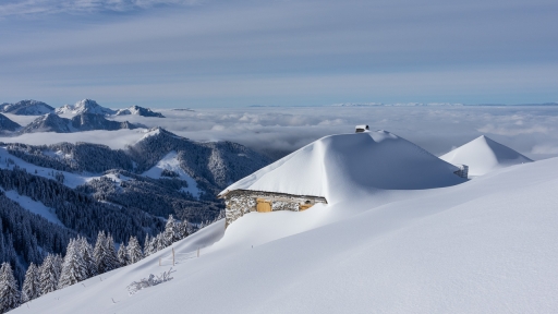 2021-02-27 / ASM
ASM : [Paysages et éléments naturels]
