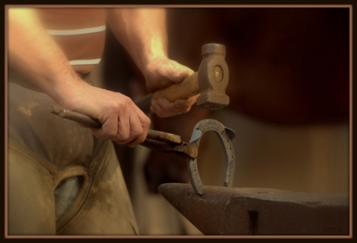 2017-10-20 / yuma
yuma [Animaux domestiques ou captifs]
