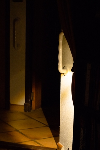 2023-01-20 / Pech_les oies 
Pech_les oies [Natures mortes, photos d'objets] 
