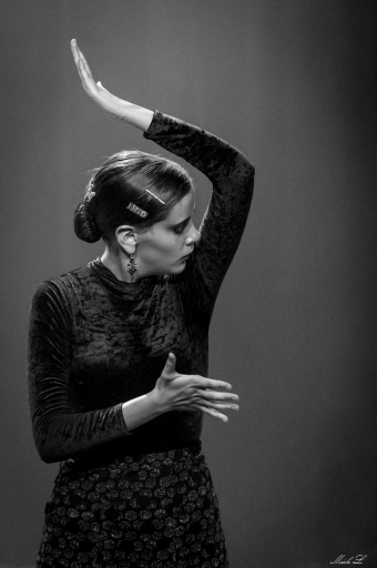 2017-09-08 / degun13113
degun13113 [Spectacles et Concerts]
