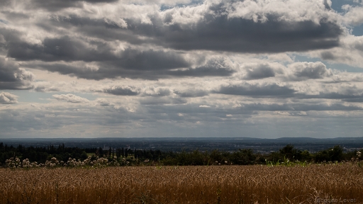 2023-07-22 / Pech_les oies
Pech_les oies [Paysages et éléments naturels]
