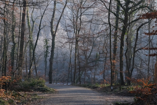 2023-01-28 / Hermès
Hermès [Paysages et éléments naturels]
