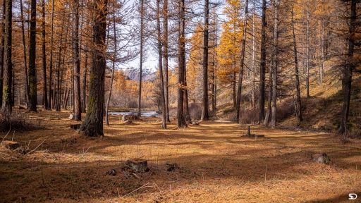 2020-10-20 / SerDeber
SerDeber [Paysages et éléments naturels]
