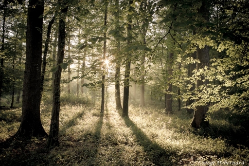 2018-10-04 / SerDeber
SerDeber [Paysages et elements naturels]
