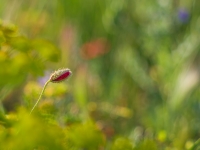 Nom du fichier=20041607270124923216747416.jpg
Taille du fichier=453Ko
Dimensions : 1193x900
Ajouté le : 16 Avril 2020 20041607270124923216747416.jpg