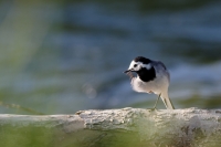 Nom du fichier=200513105449720121.jpg
Taille du fichier=172Ko
Dimensions : 1150x765
Ajouté le : 13 Mai 2020 200513105449720121.jpg