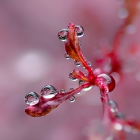 Nom du fichier=205523IMGP7306w.jpg
Taille du fichier=271Ko
Dimensions : 1024x1024
Ajouté le : 21 Décembre 2017 205523IMGP7306w.jpg