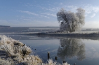 Nom du fichier=38596401315_ff4a1489a1_o.jpg
Taille du fichier=132Ko
Dimensions : 1024x678
Ajouté le : 04 Janvier 2018 38596401315_ff4a1489a1_o.jpg